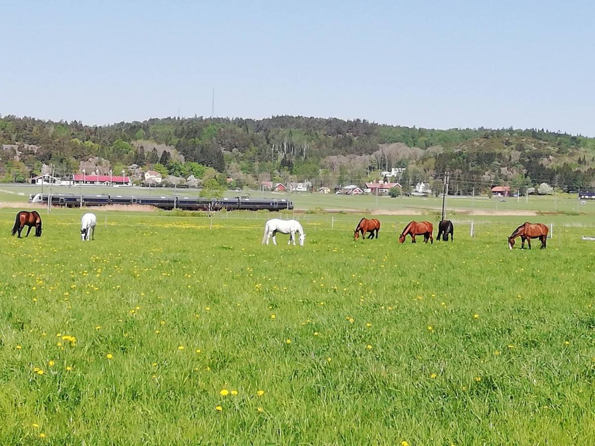 Stuga Pa Hammarbergs Gard Kungsbacka Exterior photo